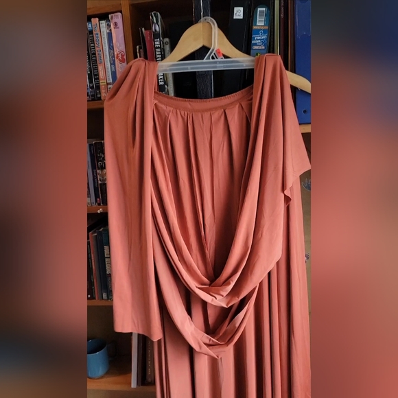 Terracotta Infinity Bridesmaids Dress - Picture 5 of 5